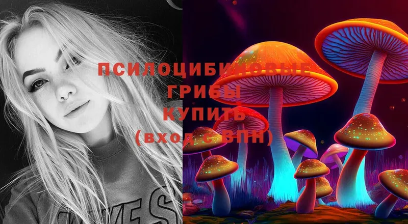 Псилоцибиновые грибы MAGIC MUSHROOMS Братск